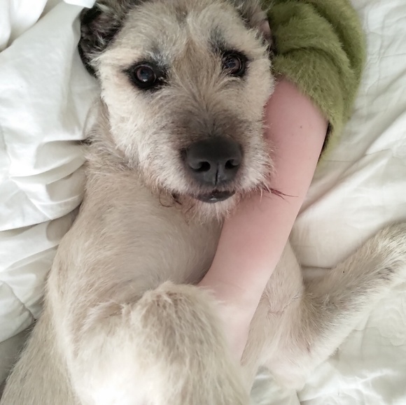 Meet your Posher, Calliope - Picture 1 of 1